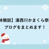 【体験談】湯西川かまくら祭りのブログをまとめます！