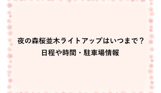 夜の森桜並木ライトアップ2026はいつまで？日程や時間・駐車場情報