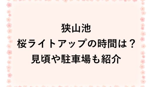 狭山池の桜ライトアップ2026の時間は？見頃や駐車場も紹介