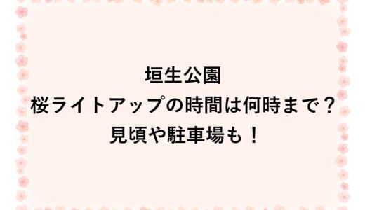 垣生公園の桜ライトアップ2026の時間は何時まで？見頃や駐車場も！
