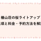 椿山荘の桜ライトアップ2026|見頃と料金・予約方法を解説
