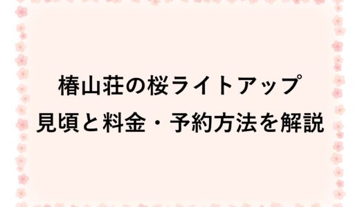 椿山荘の桜ライトアップ2026|見頃と料金・予約方法を解説