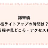 錦帯橋の桜ライトアップ2026の時間は？日程や見どころ・アクセスも