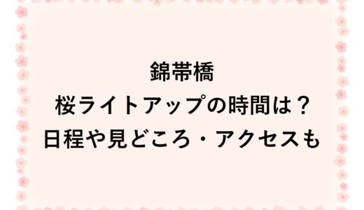錦帯橋の桜ライトアップ2026の時間は？日程や見どころ・アクセスも