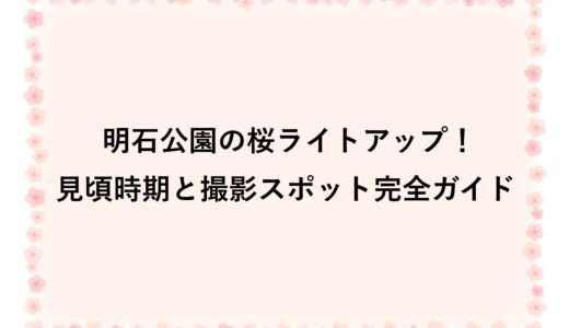 明石公園の桜ライトアップ2026！見頃時期と撮影スポット完全ガイド