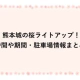 熊本城の桜ライトアップ2026！時間や期間・駐車場情報まとめ