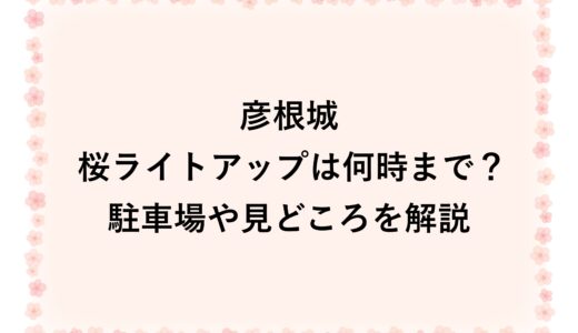 彦根城の桜ライトアップ2026は何時まで？駐車場や見どころを解説