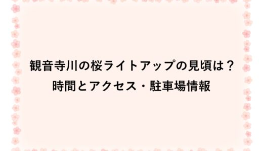 観音寺川の桜ライトアップ2026の見頃は？時間とアクセス・駐車場情報